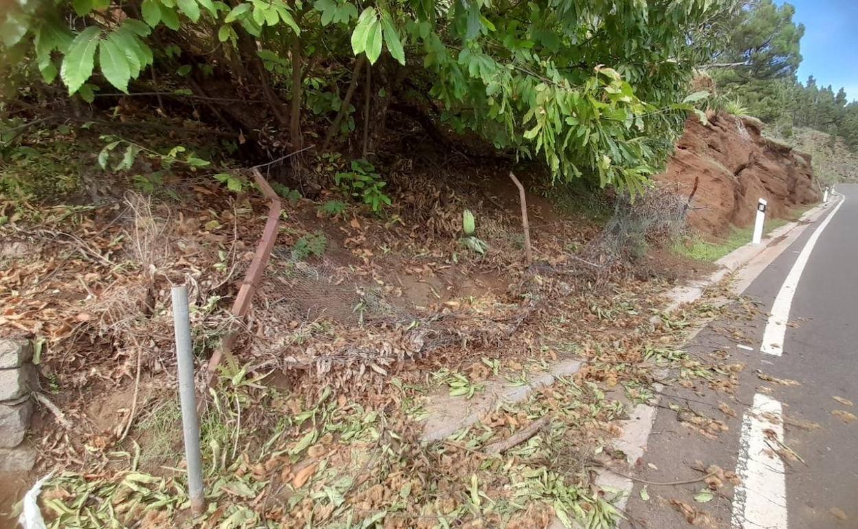 Valla rota de una finca para robar castañas. 