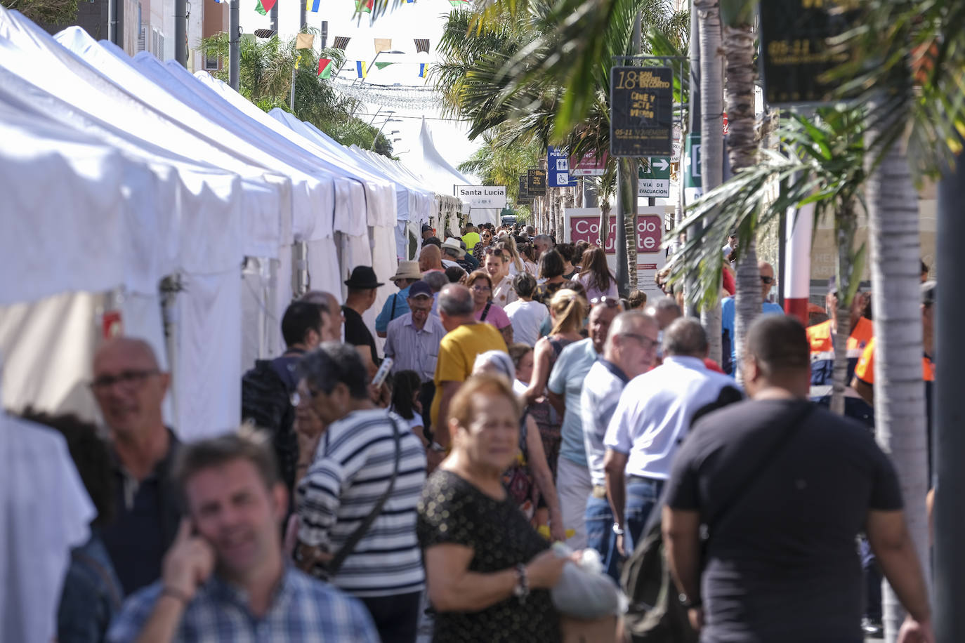 Fotos: Echa a andar la pasarela artesanal, agrícola y ganadera del sureste
