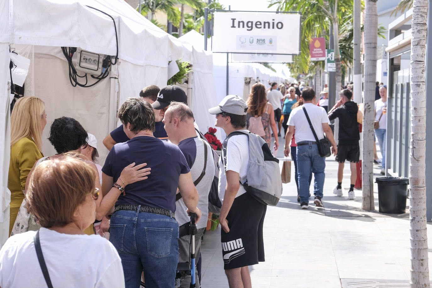 Fotos: Echa a andar la pasarela artesanal, agrícola y ganadera del sureste