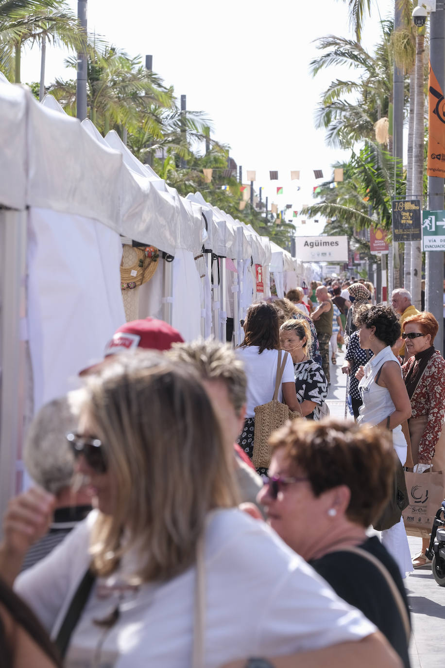 Fotos: Echa a andar la pasarela artesanal, agrícola y ganadera del sureste