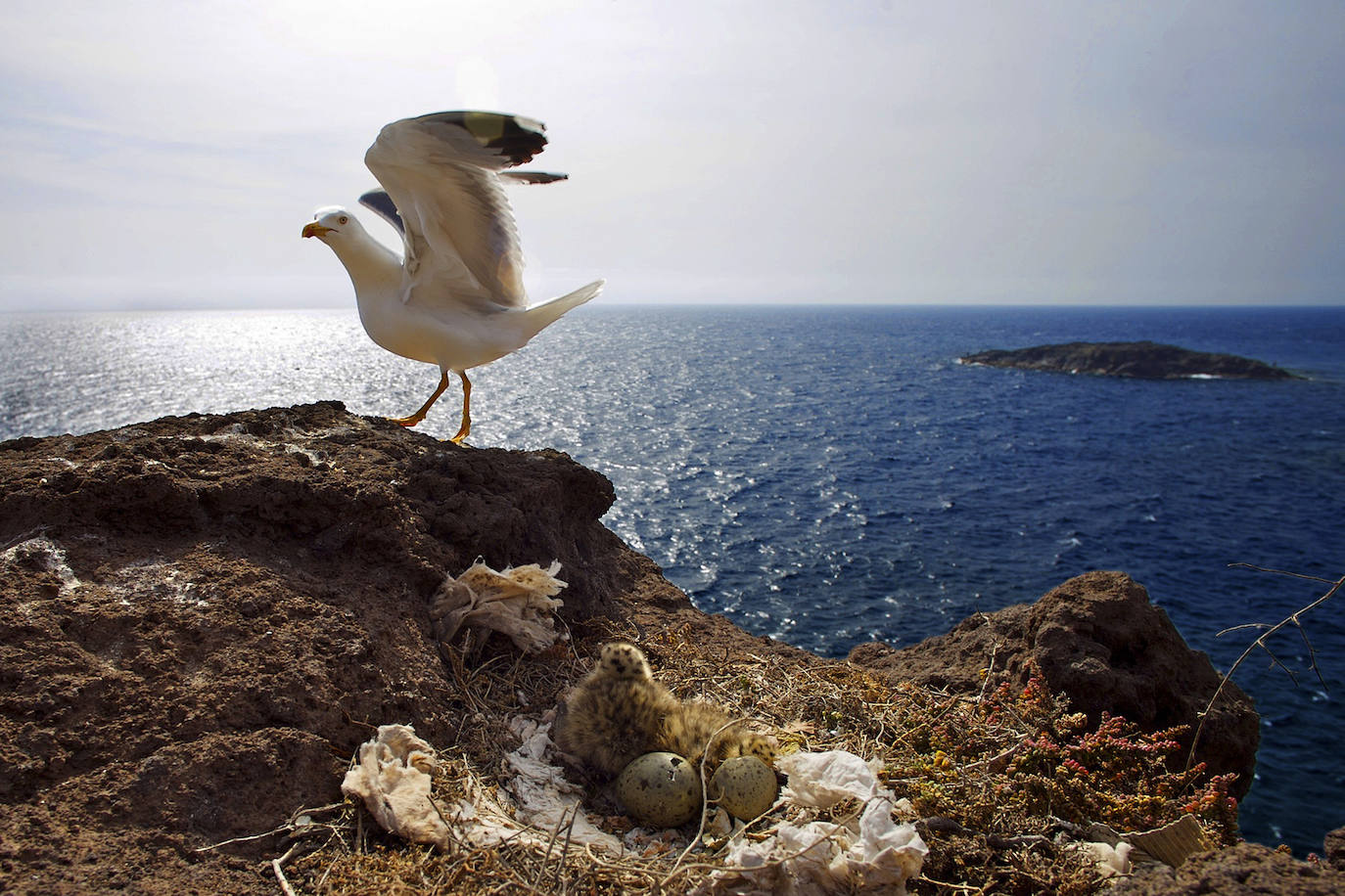 Fotos: Toda una trayectoria en 46 fotografías