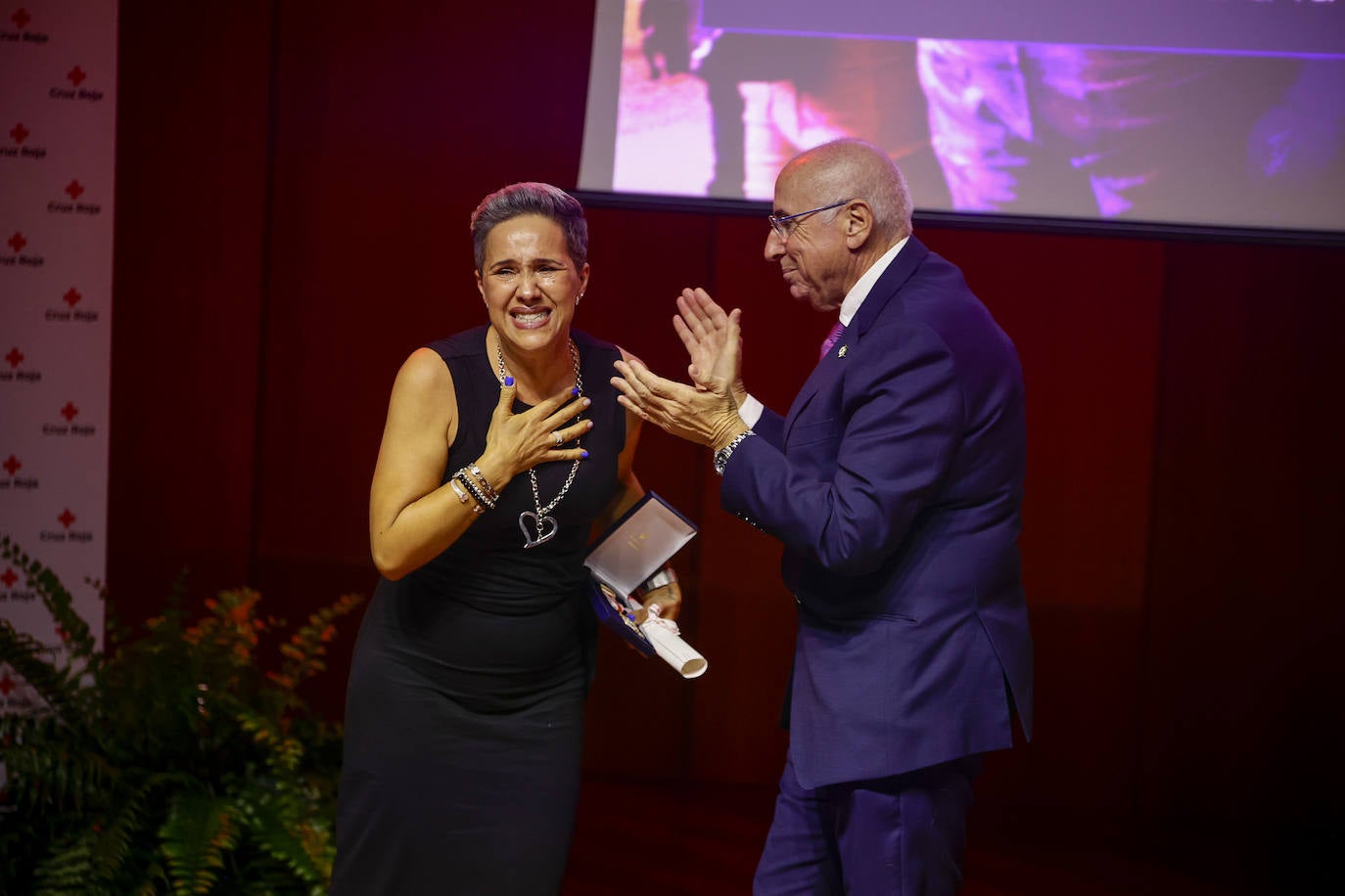 Fotos: Entrega de distinciones Cruz Roja 2022