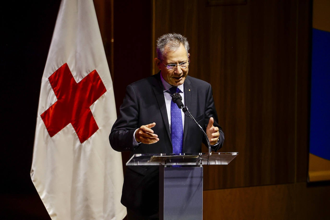 Fotos: Entrega de distinciones Cruz Roja 2022