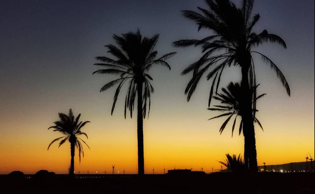 Los atarderes en Canarias nos dejan una estampa tan preciosa como esta. 