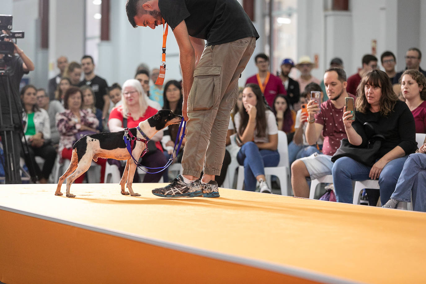 Imagen secundaria 1 - Animundo cierra apelando a la responsabilidad al tener mascotas