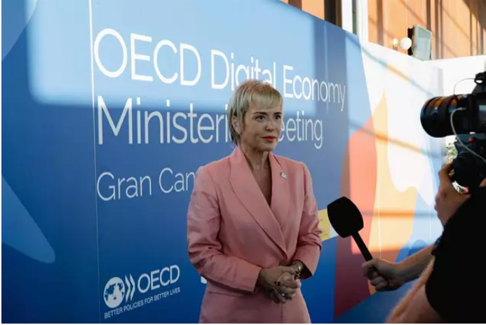 Secretaria de Estado de Digitalización y Transformación Digital, Carme Artigas