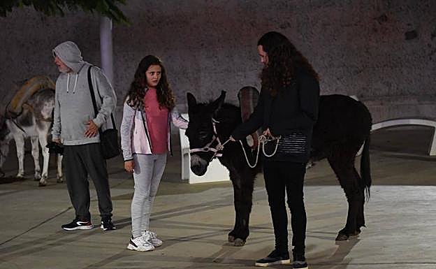 Imagen principal - La lluvia hizo acto de presencia en el el ensayo de este jueves. 