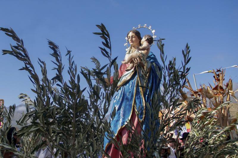 Fotos: Miles de personas celebran la romería de Los Labradores
