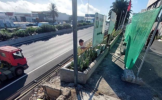 Trabajos de replantación en una de las jardineras vacías en los márgenes de la GC-1. 