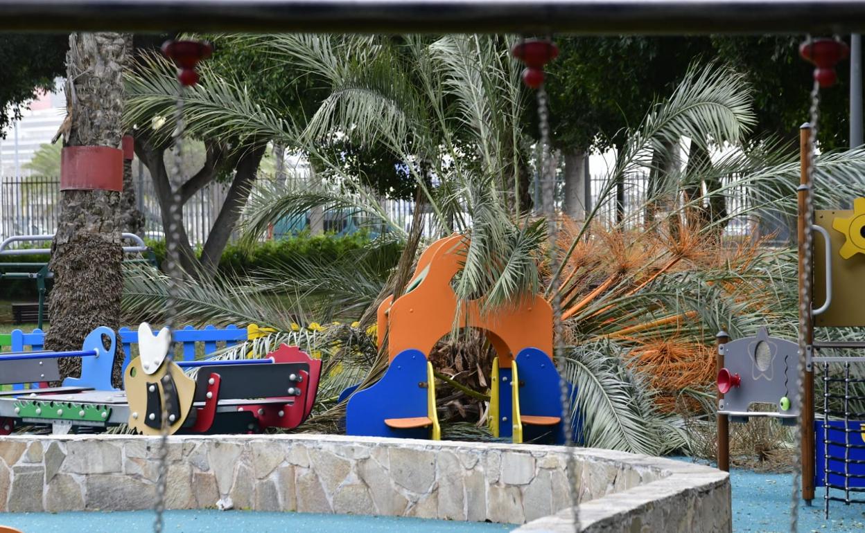 Más de 90 incidencias por viento en la capital grancanaria
