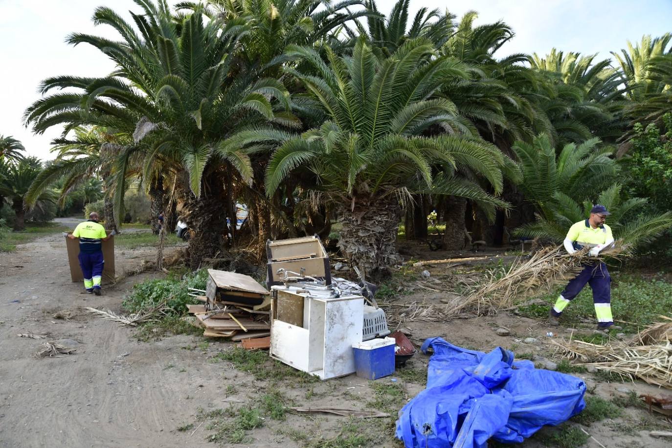 Fotos: El desalojo de una quincena de sintechos, en imágenes