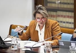 La consejera de Agricultura, Ganadería y Pesca del Gobierno de Canarias, Alicia Vanoostende, compareció este miércoles en comisión parlamentaria para analizar la situación actual del sector primario en las islas.