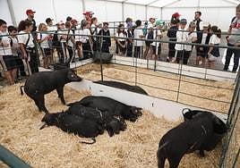 Escolares en la Feria, este viernes.