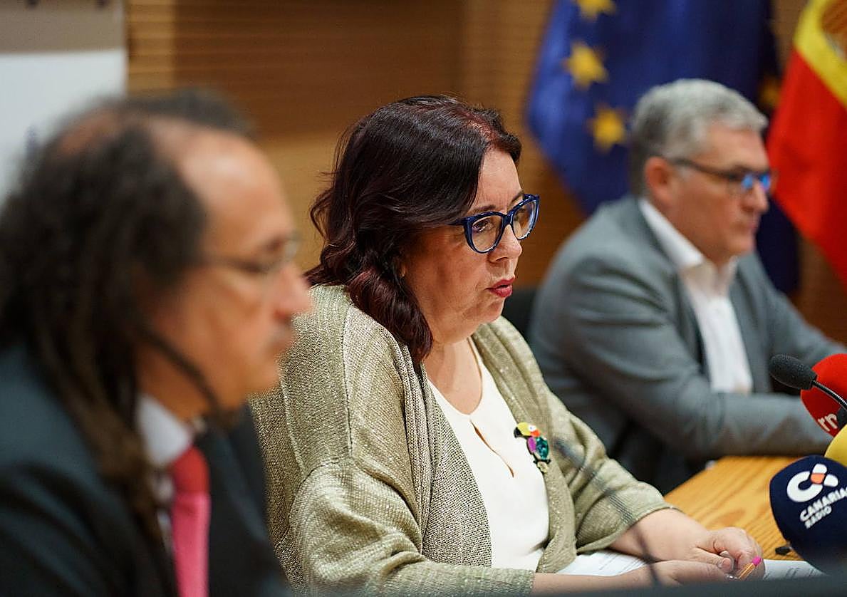 La consejera de Educación, Manuela Armas, esta semana en la Comisión de Educación del Parlamento canario.