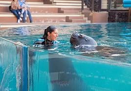 Una cuidadora de los leones marinos, en las piscinas del centro de La Lajita.