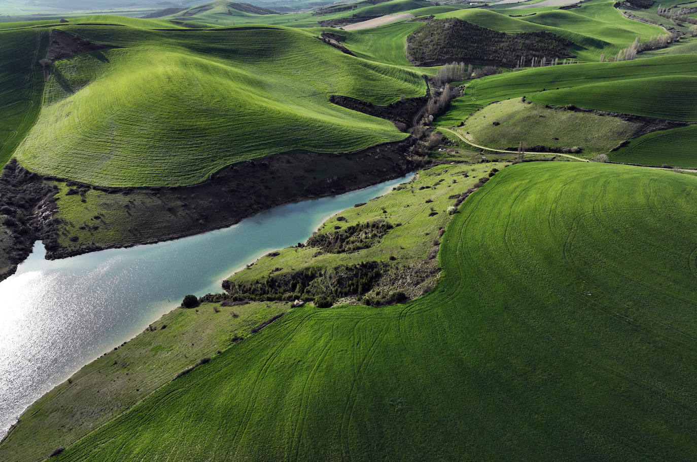 El día, en imágenes