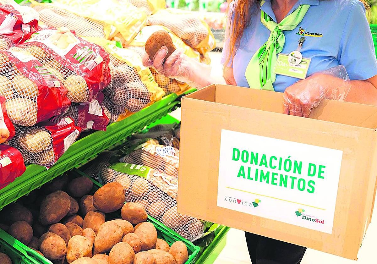 Fundación DinoSol cumple seis años dedicada a las familias canarias