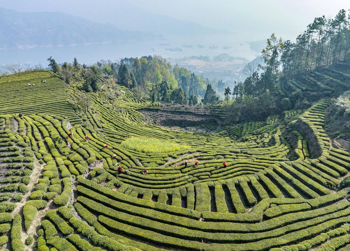 Vista de un suelo seco y agrietado en la presa de Chiba en la gobernación de Nabeul debido al aumento de las temperaturas y la falta de lluvia, en Nabeul, Túnez. El jefe de la Empresa Nacional de Explotación y Distribución de Agua (SONEDE) dijo que 'el stock de presas fue del 80 por ciento en 2019; Es del 30 por ciento en marzo de 2023, ya que Túnez se enfrenta a episodios prolongados de sequía debido a su geografía y al cambio climático. 