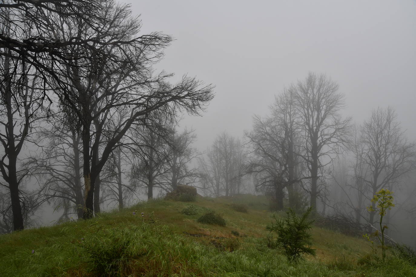 Las familias disfrutan de unas vacaciones diferentes acampando en la cumbre