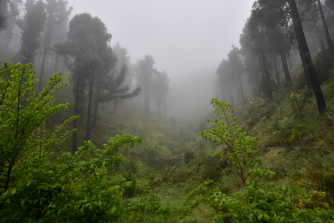 Las familias disfrutan de unas vacaciones diferentes acampando en la cumbre