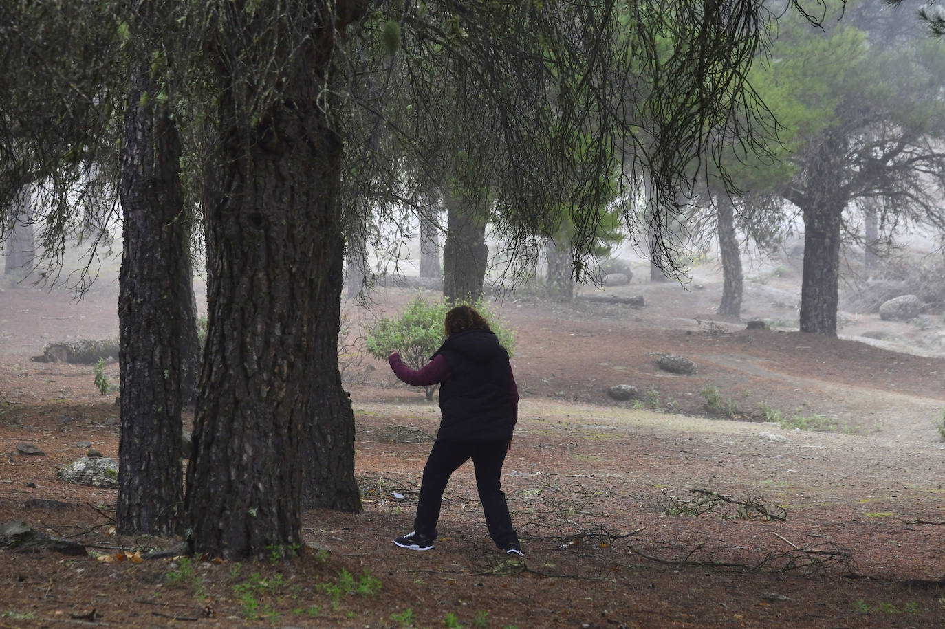 Las familias disfrutan de unas vacaciones diferentes acampando en la cumbre