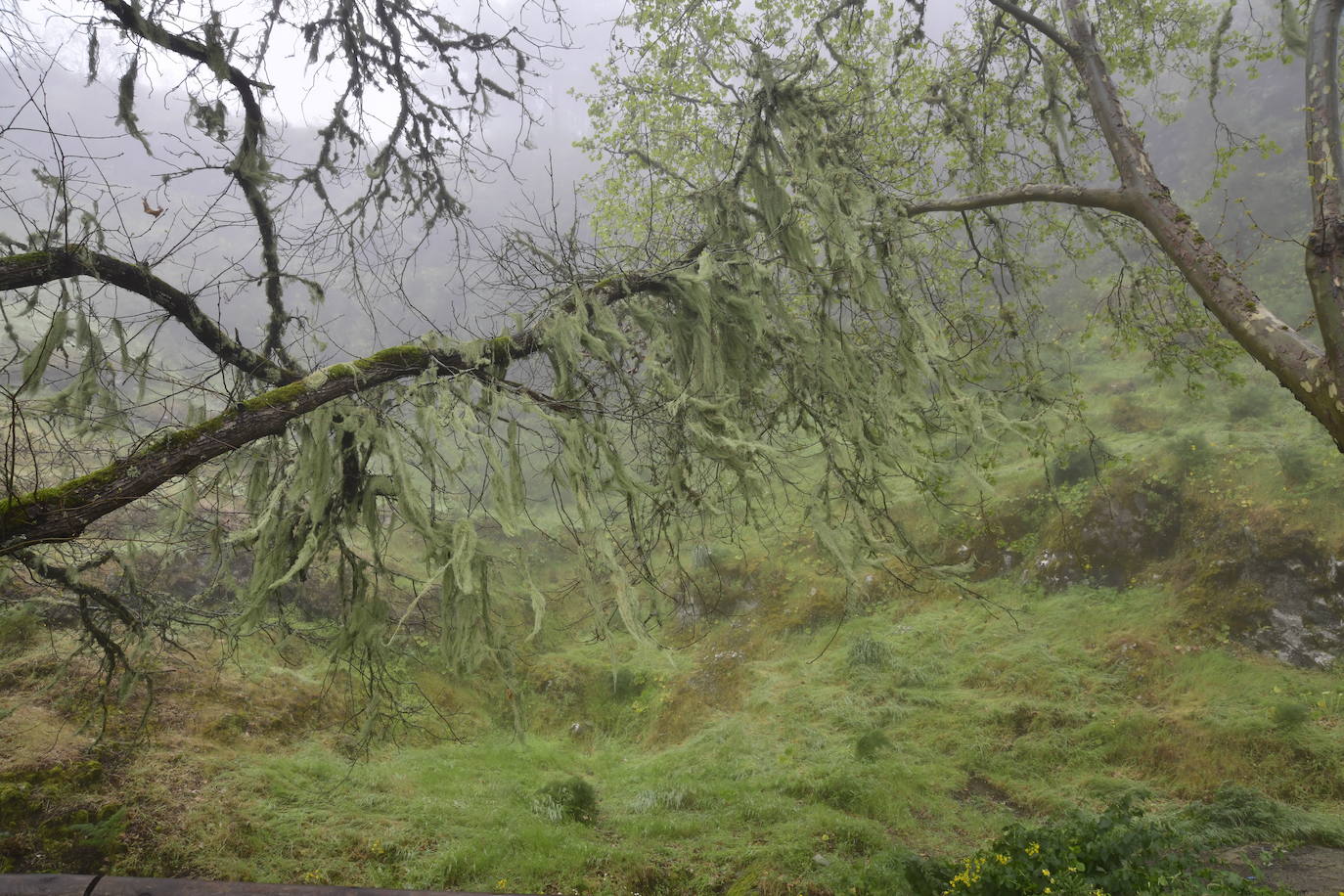 Las familias disfrutan de unas vacaciones diferentes acampando en la cumbre