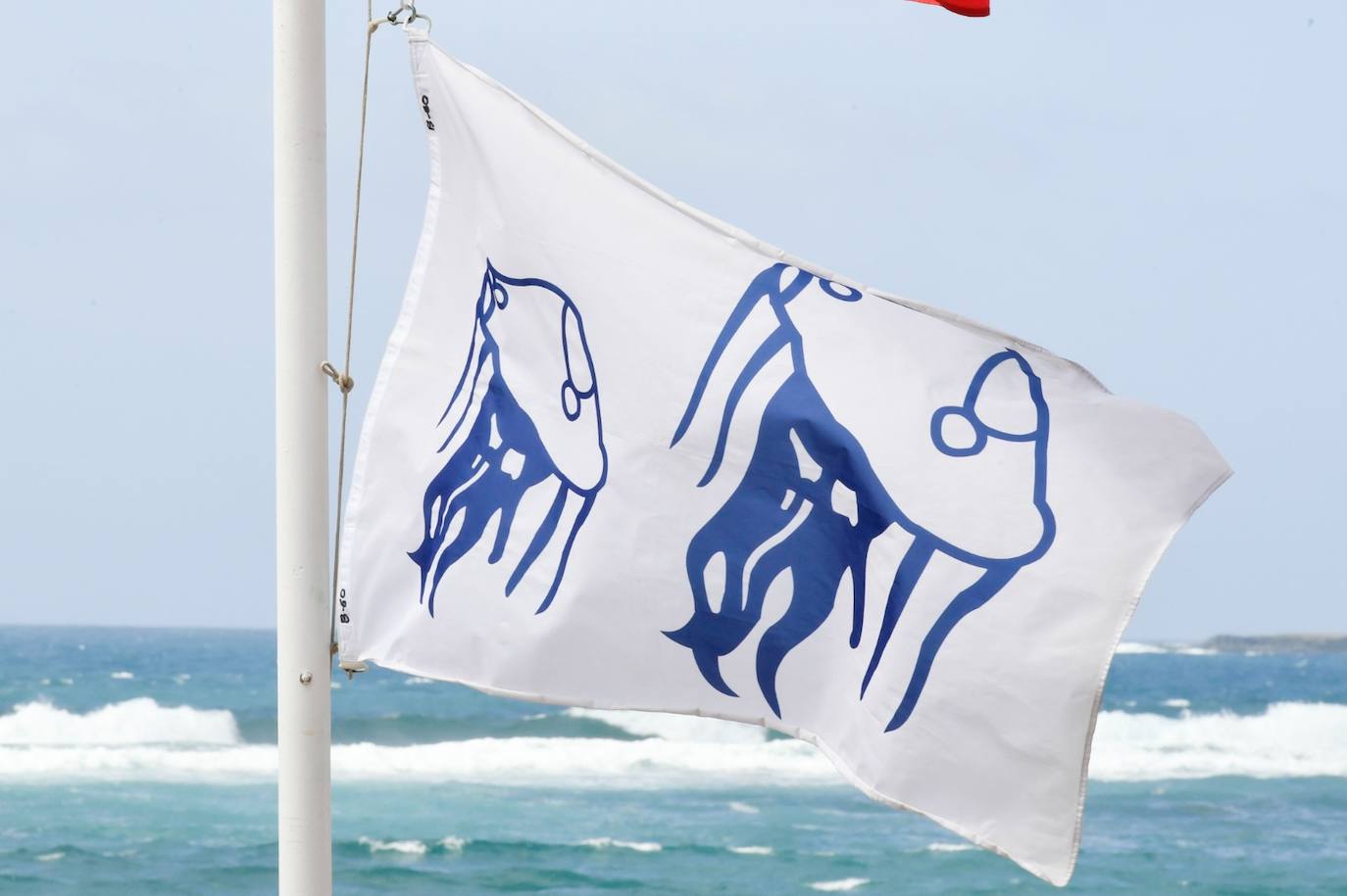 Las Canteras, abarrotada pese a la bandera roja por aguavivas