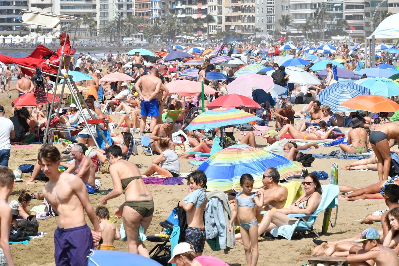 Las Canteras, abarrotada pese a la bandera roja por aguavivas