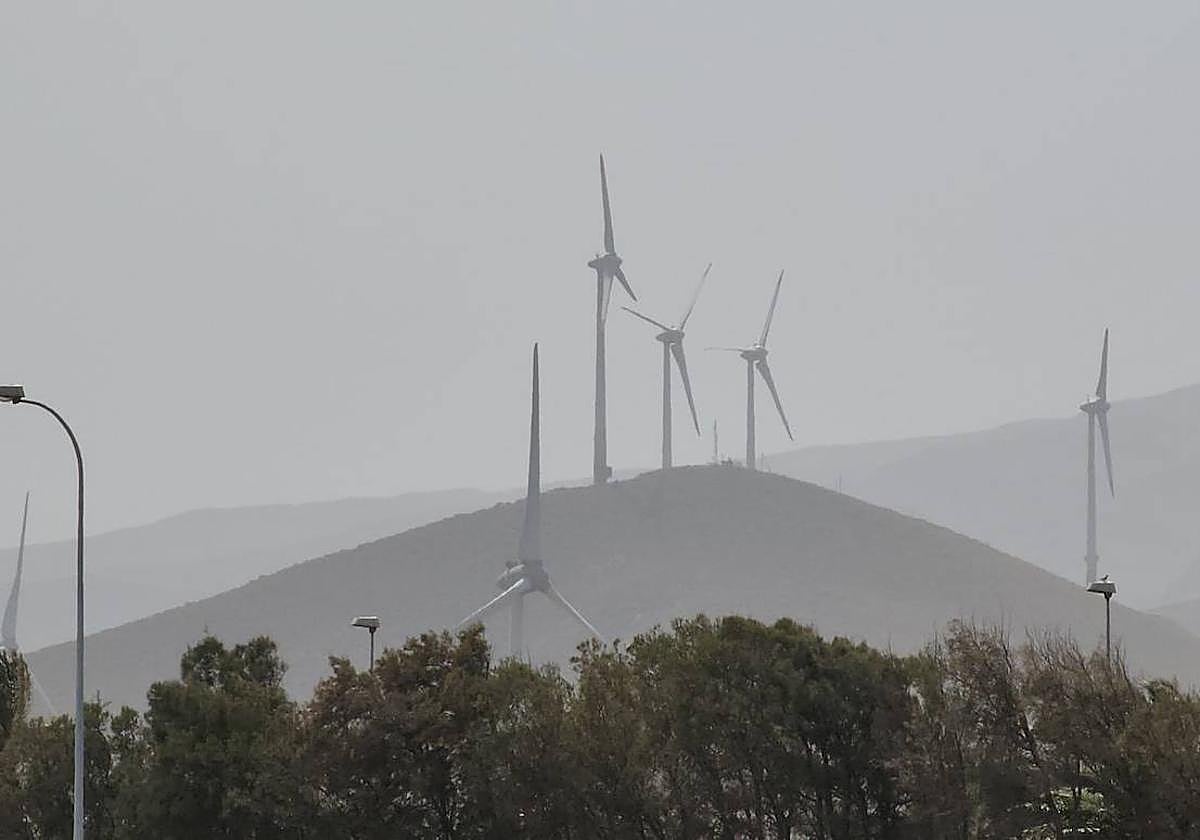 Calor y calima como forma de vida