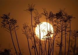 El día, en imágenes