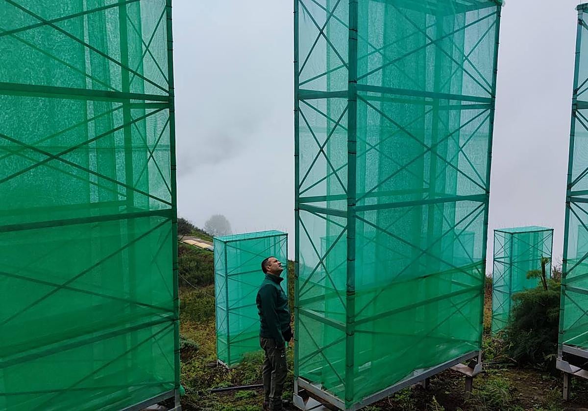 Gustavo Viera, director técnico del proyecto, junto a varios captanieblas tridimensionales.