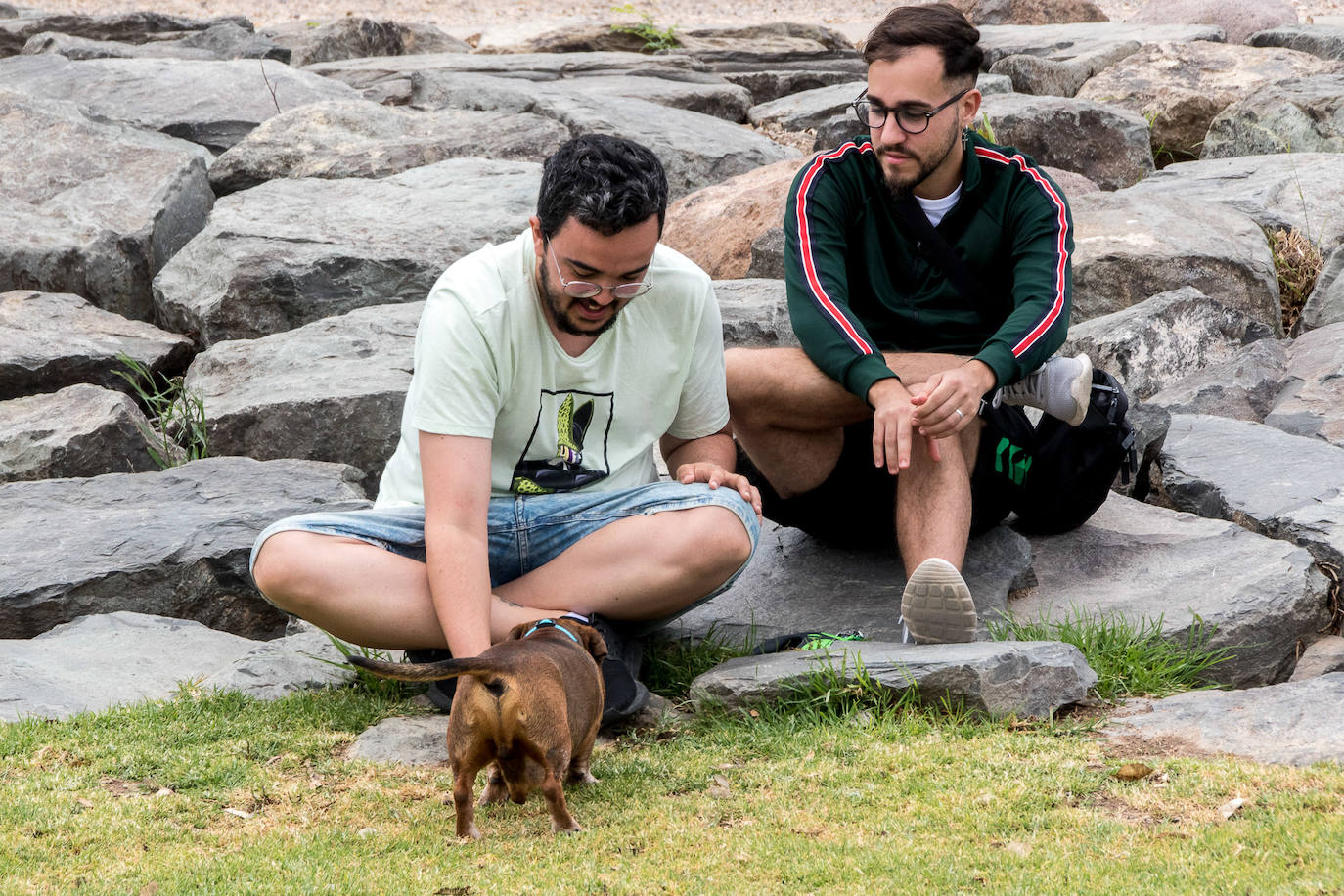 Nuevo encuentro de perros teckel en La Ballena