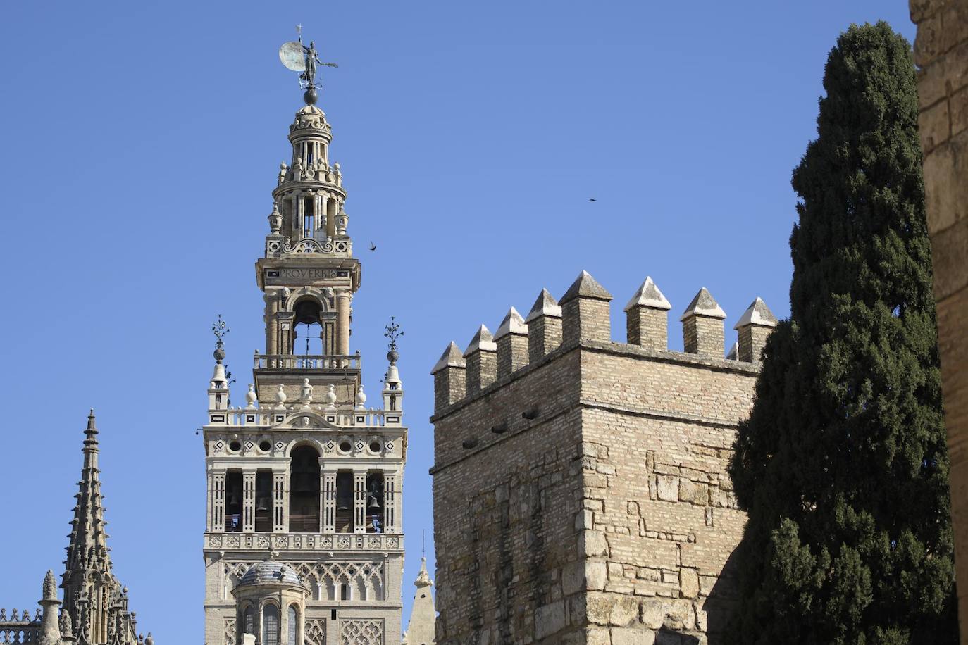 El Cabildo Catedral de Sevilla ha puesto en marcha las labores de restauración de la cara norte de la Giralda, cuyos trabajos estaban previstos para el pasado 2020, que se tuvieron que paralizar debido a la pandemia de la covid-19.