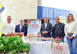 Imagen de la presentación de la octava Feria de la Fresa de Valsequillo en la sede del Cabildo.