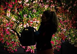 El día, en imágenes