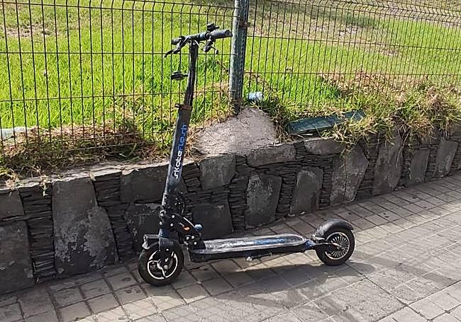 Imagen de la patineta.