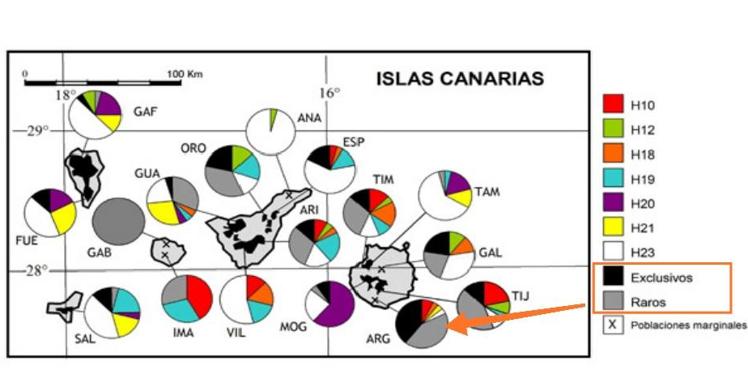 Variabilidad genética de distintos pinares del archipiélago.