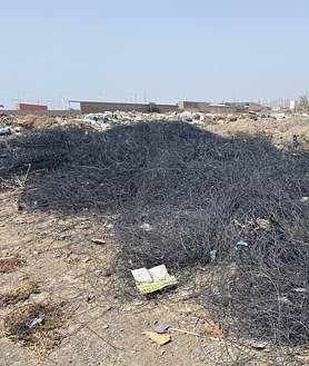 Imagen secundaria 2 - Más molinos y también más basura en el sureste
