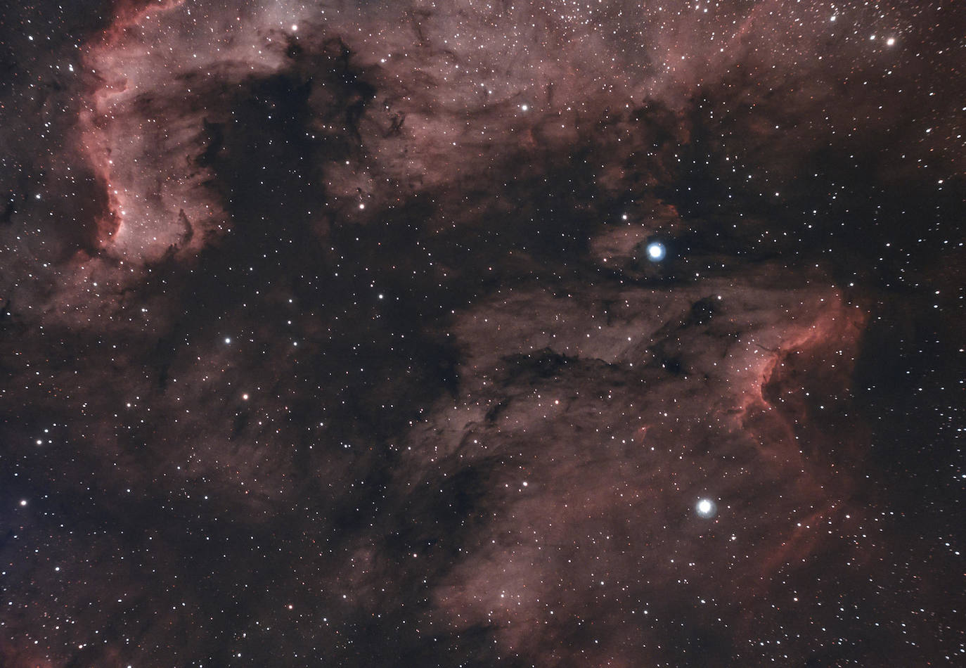 Imagen compuesta por la integración de una hora de exposiciones fotográficas tomadas desde La Hayuela, Cantabria, que muestra la nebulosa de emisión NGC 7000, conocida como la nebulosa Norteamérica, junto a la zona oscura que se conoce como «El Golfo de México», en la constelación de El Cisne a una distancia estimada de 1.800 años luz.