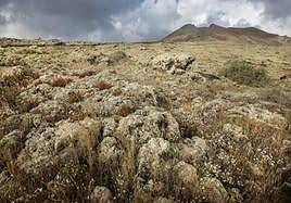 Montaña de la Arena, entre Lajares y Villaverde, en el municipio de La Oliva.