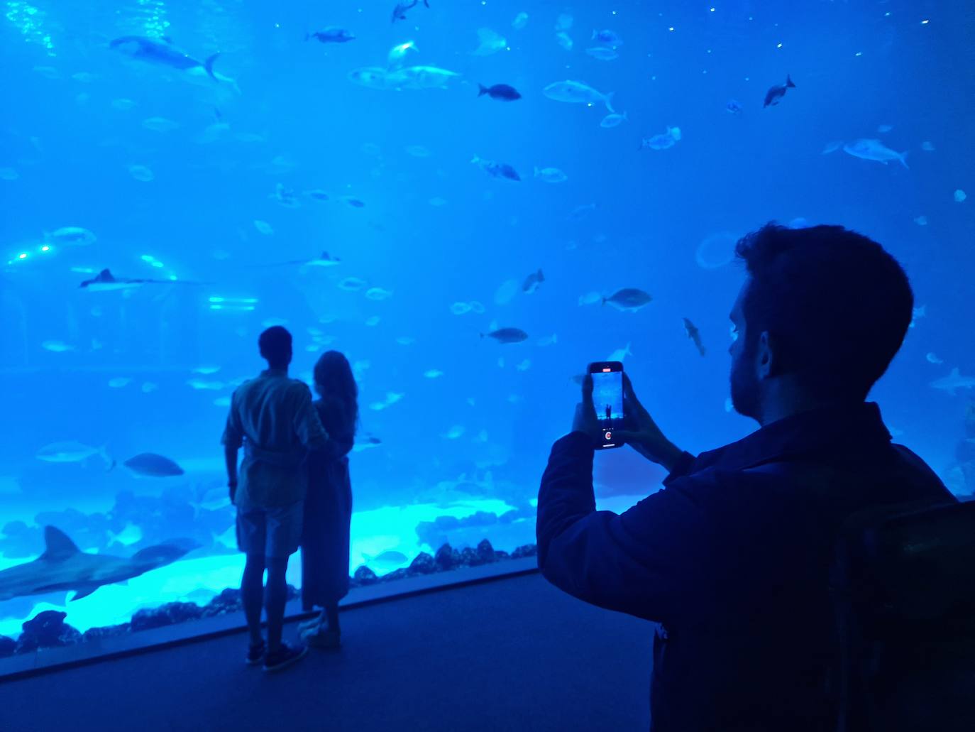 Imagen principal - Canarias se promocionará en redes a través de creadores digitales