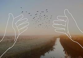 CaixaBank y la Fundación La Caja de Canarias abren este jueves la 'Convocatoria de Medioambiente 2023'