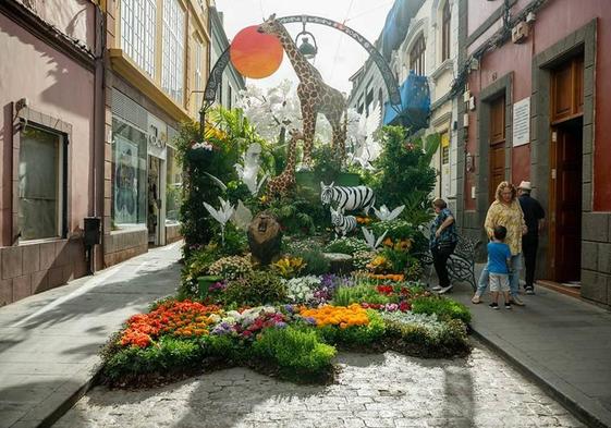 Las calles del casco ya lucen su primavera con Gáldar en Flor