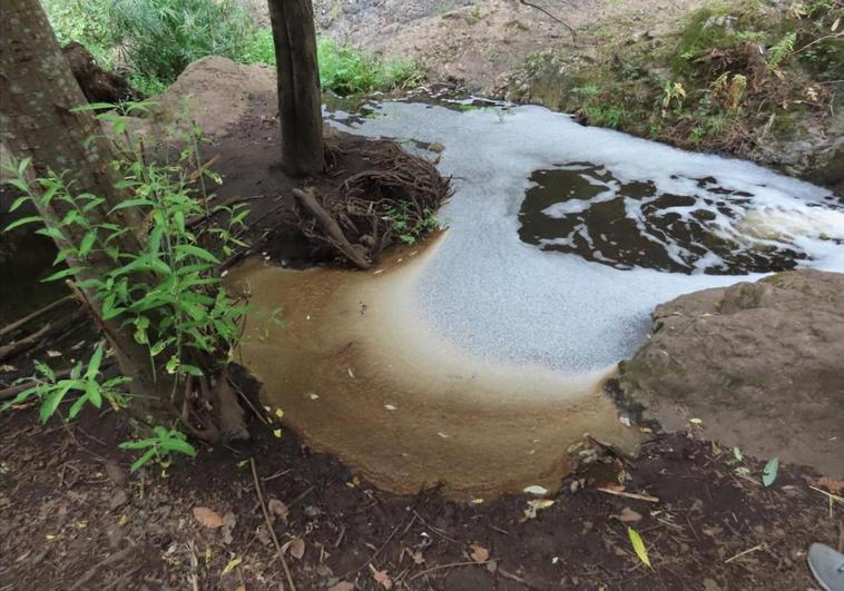 La Vinca denuncia un grave vertido de productos químicos en el barranco de Las Madres