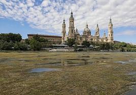 El día, en imágenes