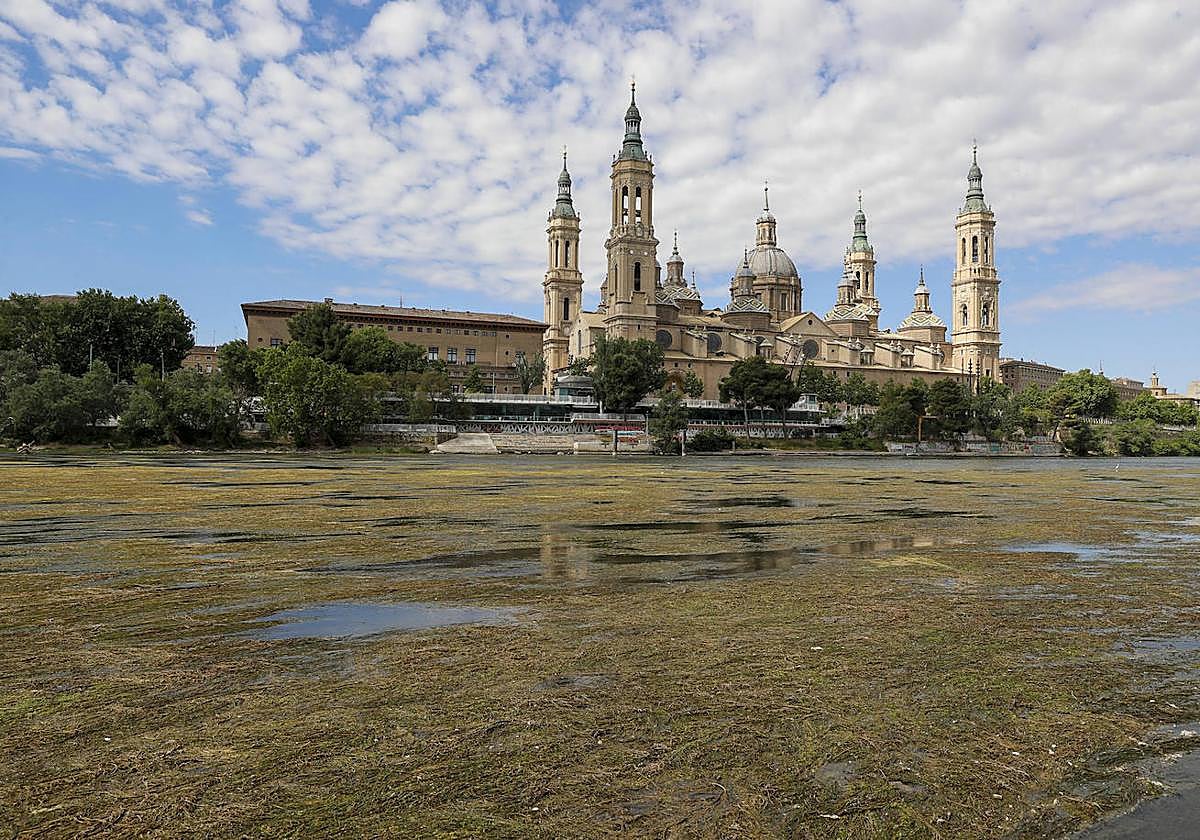 El día, en imágenes
