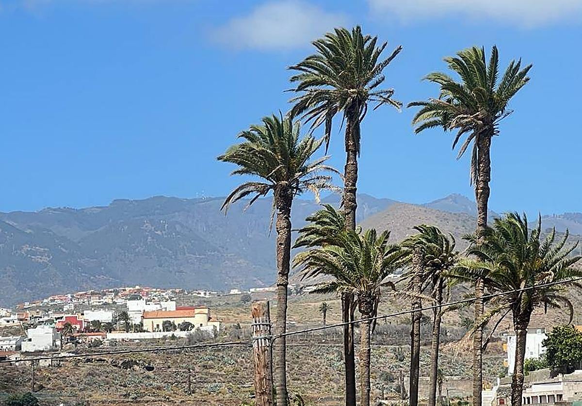 Los vientos pretenden soplar con más fuerza y se declara la alerta