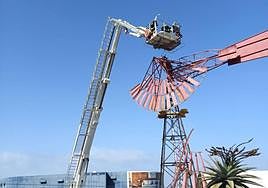 Imagen del molino afectado por las fuertes rachas de viento.