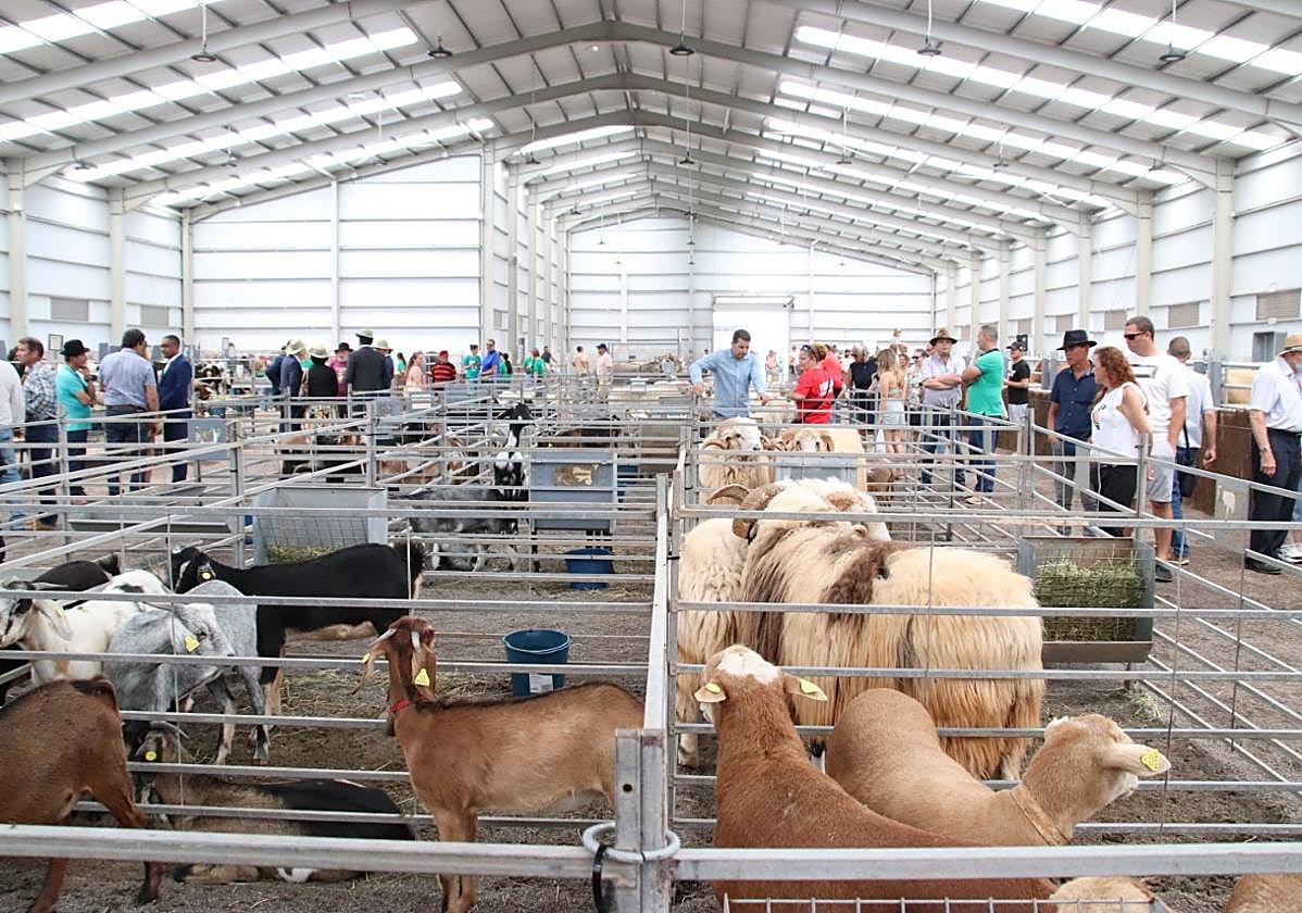 Nave del ganado de Feaga.