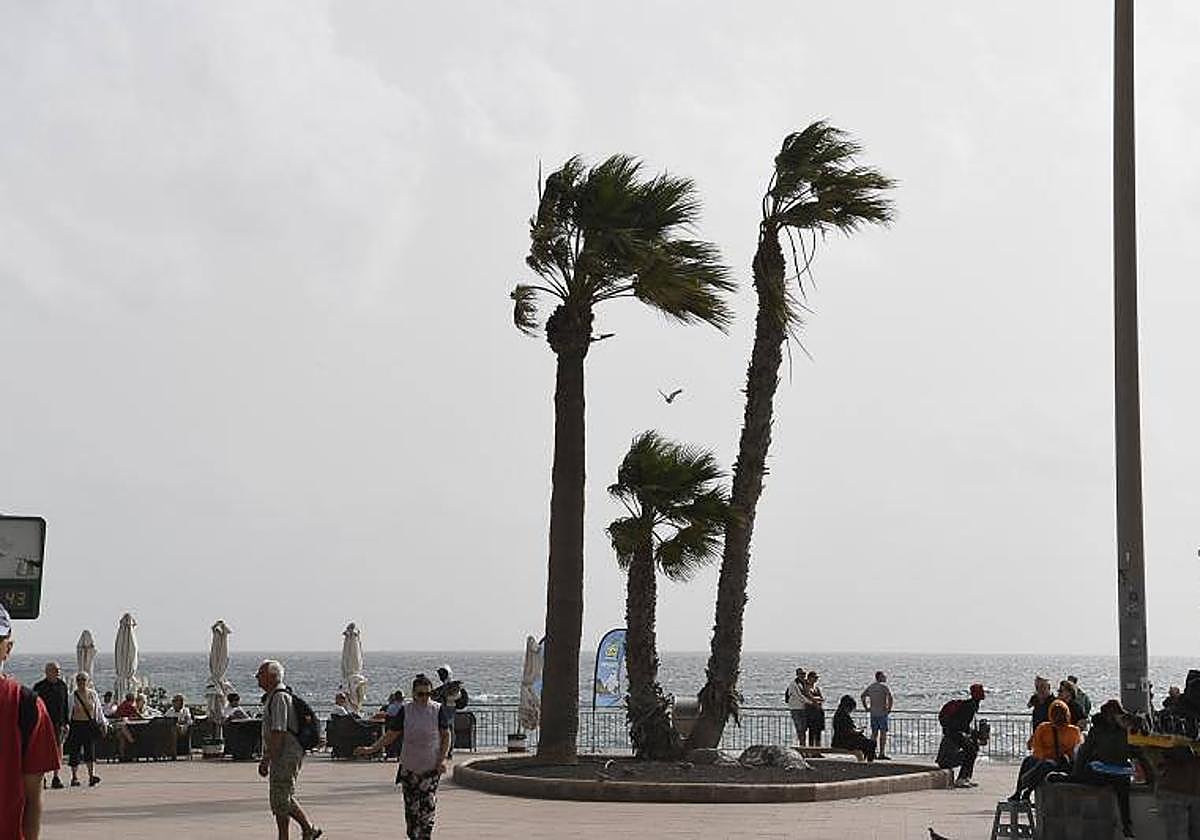 Los vientos bajarán un poco su intensidad.